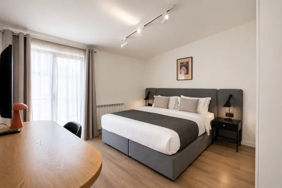 Deluxe Apartment With Terrace